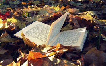 Fall is the Perfect Time for Reading